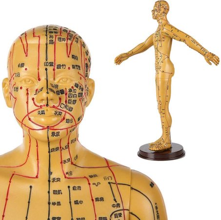 Smärta & akupunktur meridianer